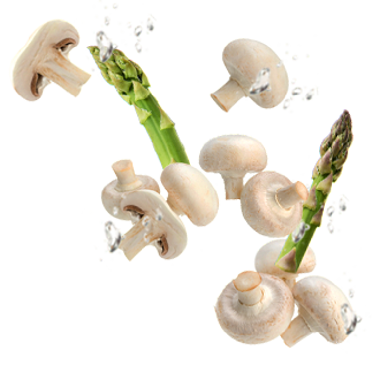 16_cogumelos_espargos.png