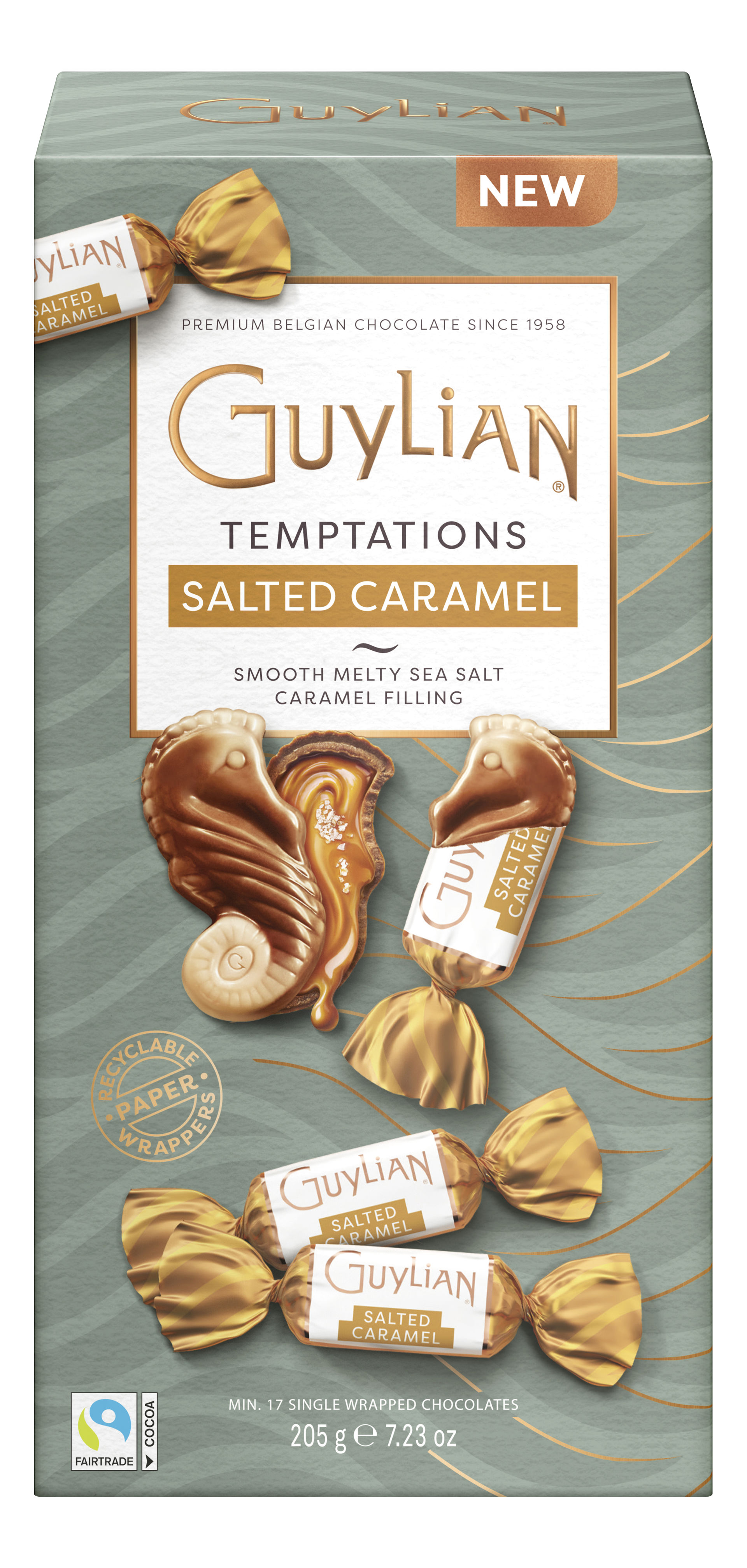 Imagem de 6546 GUYLIAN TEMPTATIONS CARAMELO SALGADO CX 205G
